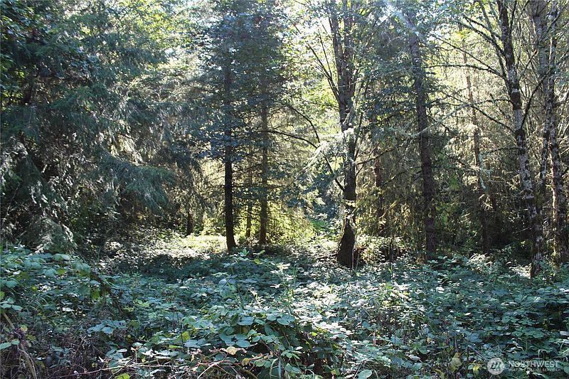 3rd image of 0 N Lot K Bodine Road