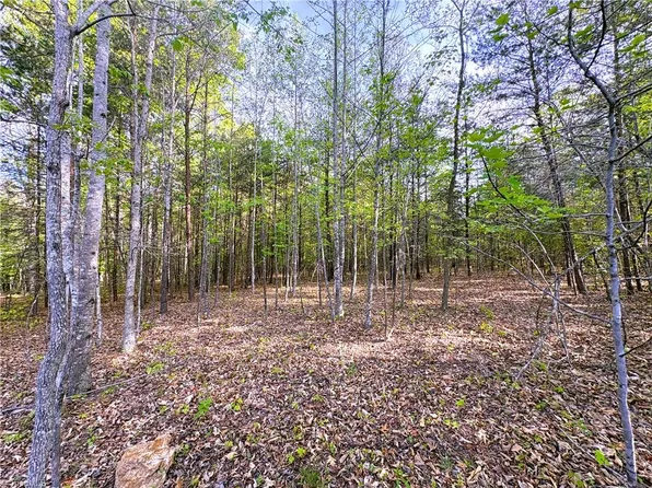 521 Matrimony Rd, Eden, NC 27288