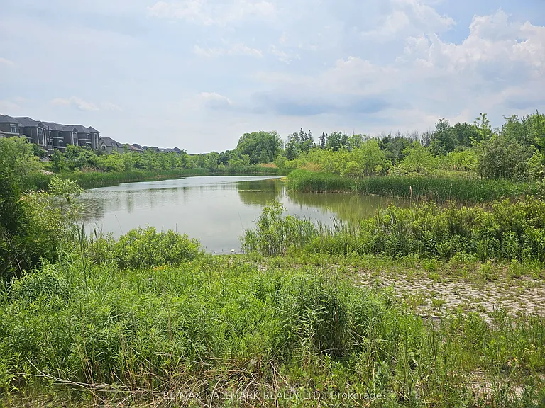 65 Riley Reed Ln — Photo 40