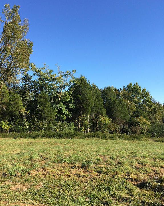 2nd image of 7707 Lake Mountain Ln