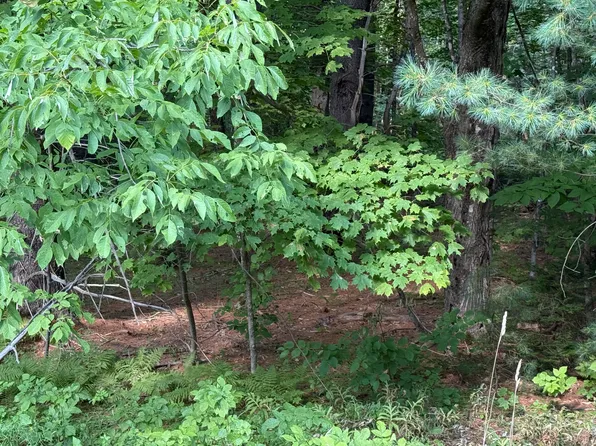 M8L42 Greenville Road, Monson, ME 04464