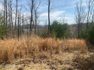 1310 N Wilkerson Rd, Knoxville, TN, 37922