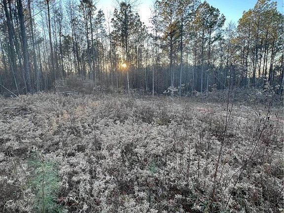 2nd image of 16015 Sanford Rd