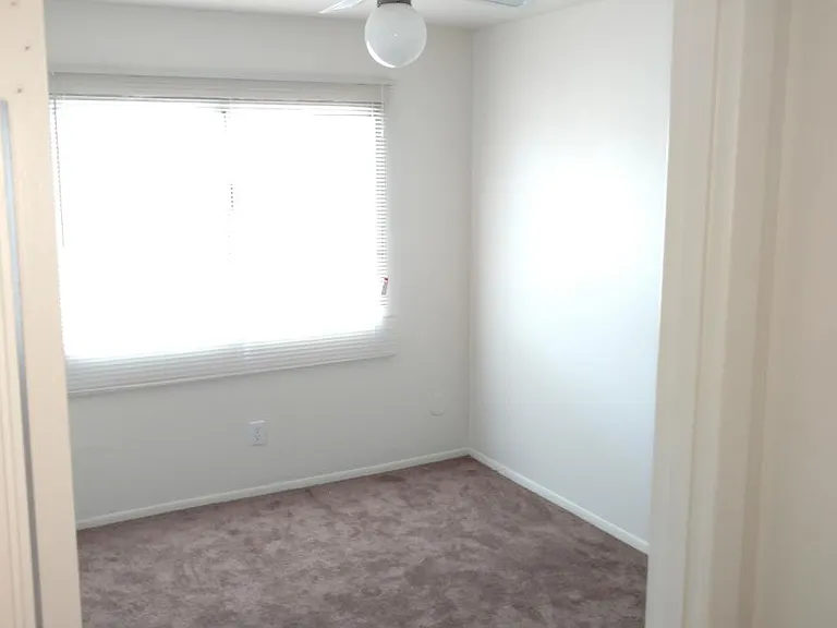 New Carpet