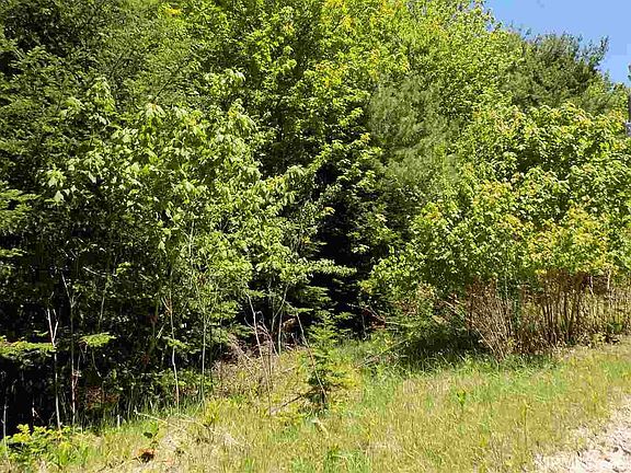 5th image of Michibay Rd