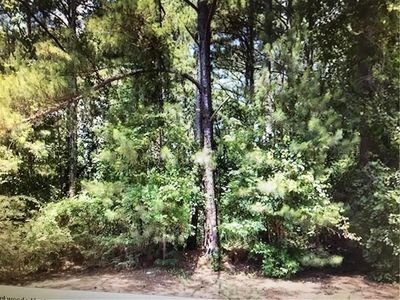 603 Ashtonberry Point #1, Loganville, GA, 30052