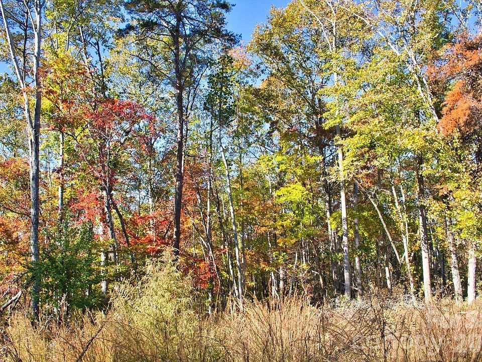 2nd image of 0 Wilderness Rdg #15