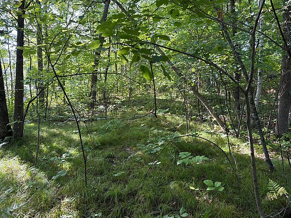 4th image of 25 Eagle Ridge Rd