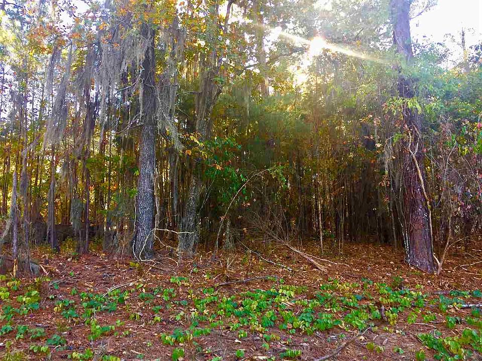 2nd image of 435 Cheyenne Ln Lot 211