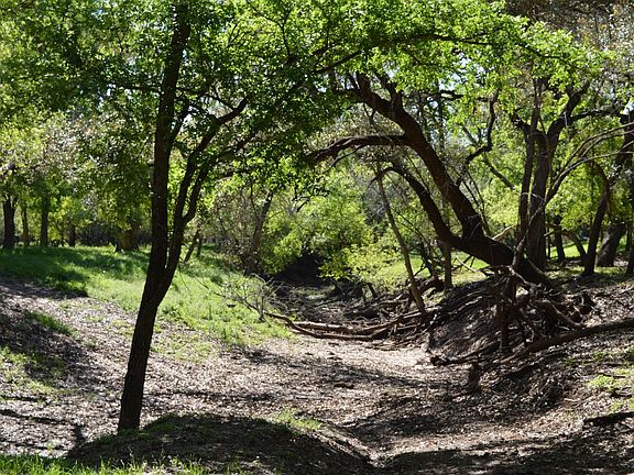 Creek bed
