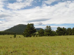 145 View Lane, Guffey, CO 80820