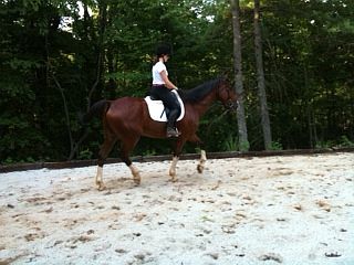 Riding in the arena