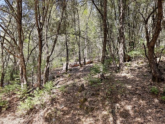 2nd image of 23265 Quail Dr