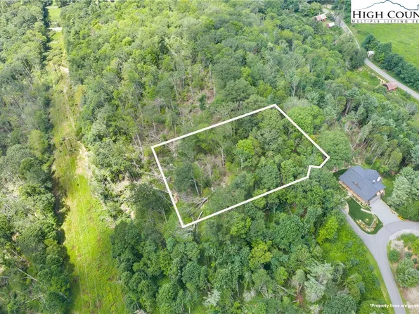 Lot 41 White Fox Lane, Banner Elk, NC 28604