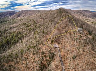 353 Black Bear Ridge Trl, Zirconia, NC 28790