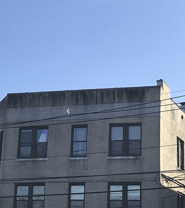 1st image of 460 Anderson Ave