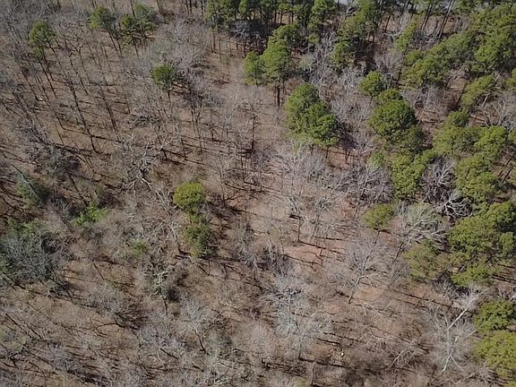 3rd image of Polk Rd #125