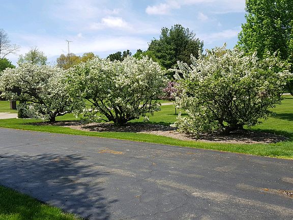 4th image of 14929 W Carlton Ct