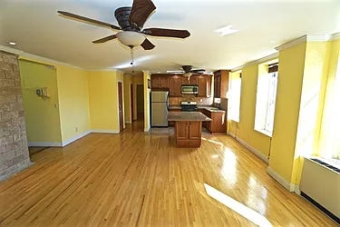 Rented by Bizzarro Agency