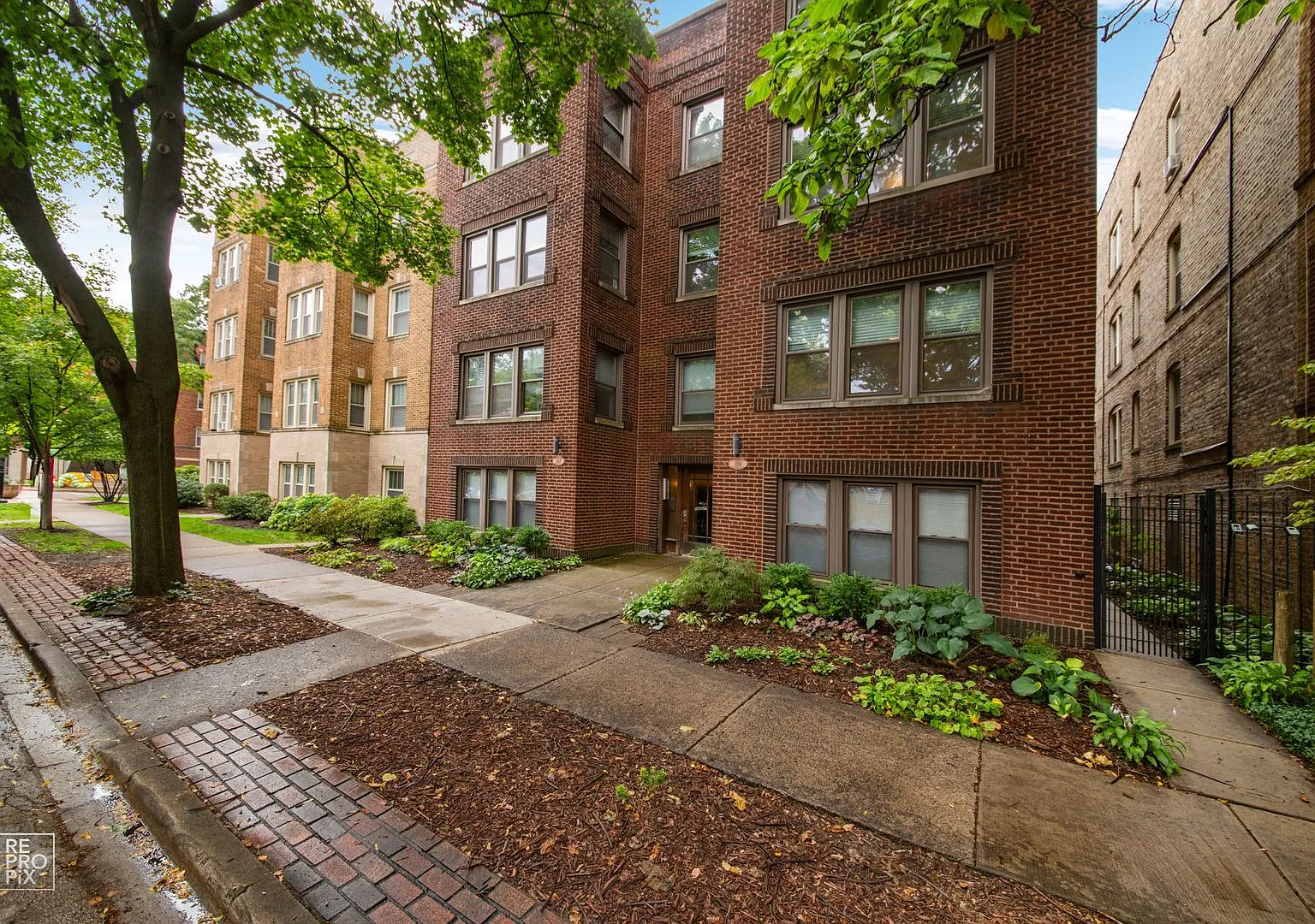 2-Bedroom Gem in Oak Park Historic District — Photo 4