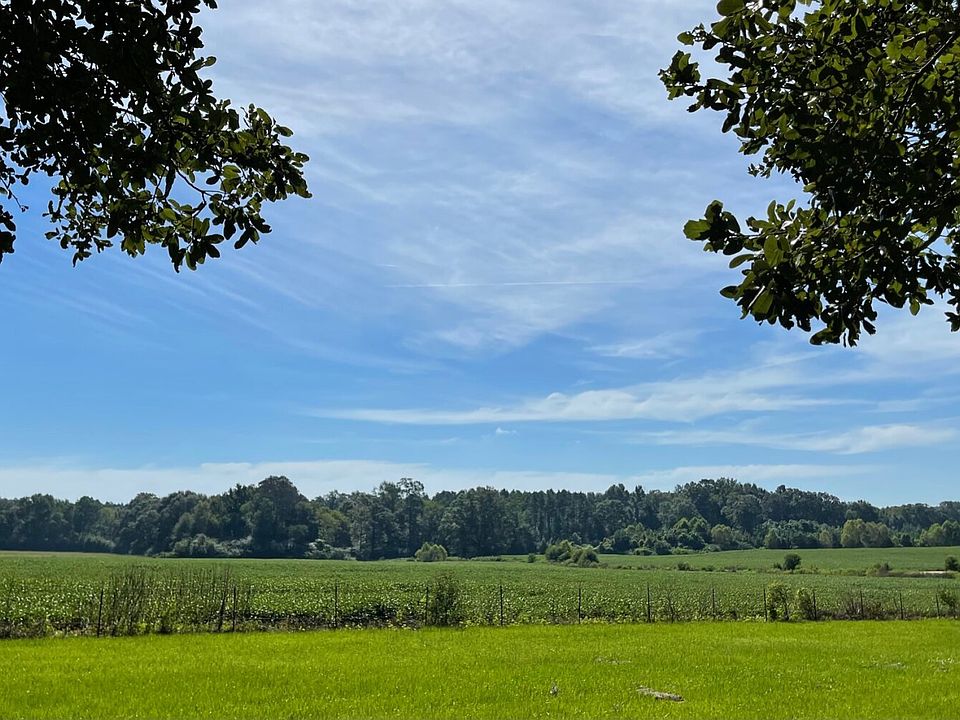 Soybean Field