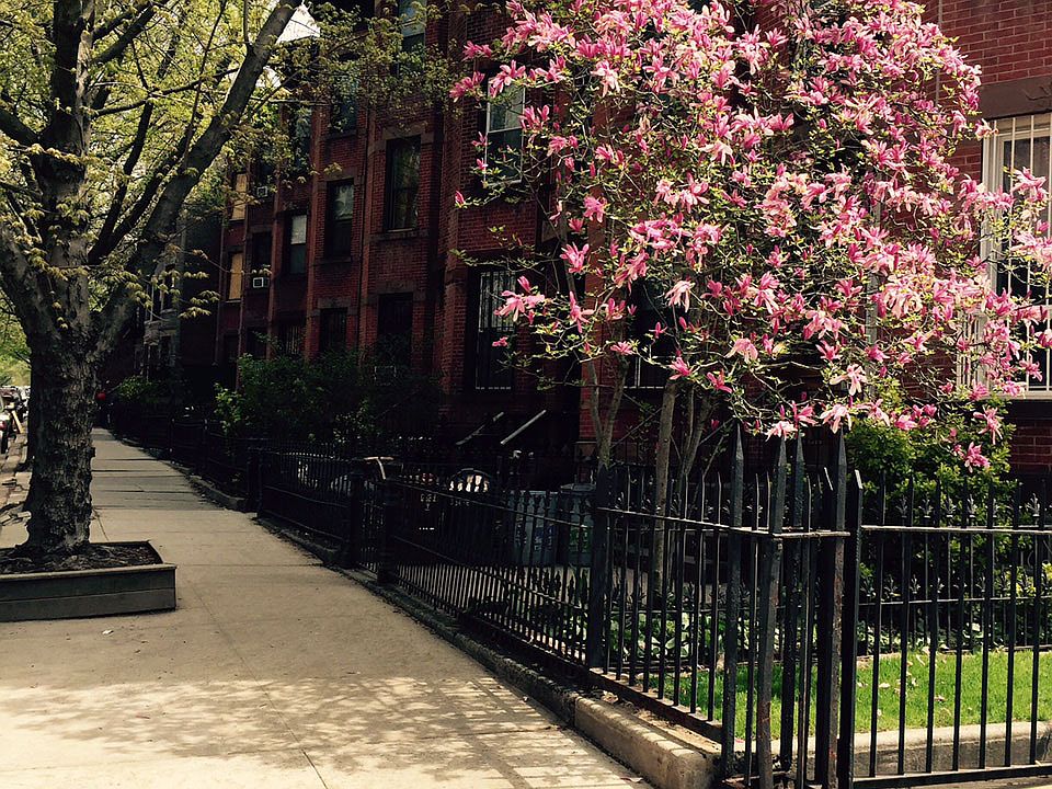 1st image of 356 8th St APT 1
