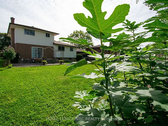 3rd image of 7 Dolly Cir