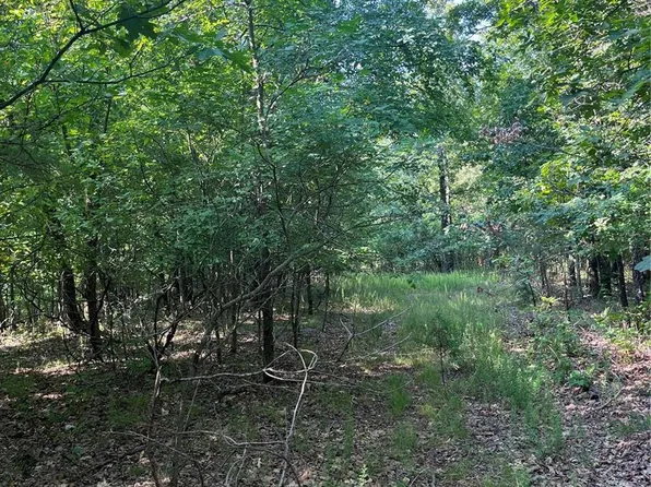 0 County Road 434, Piedmont, MO 63957