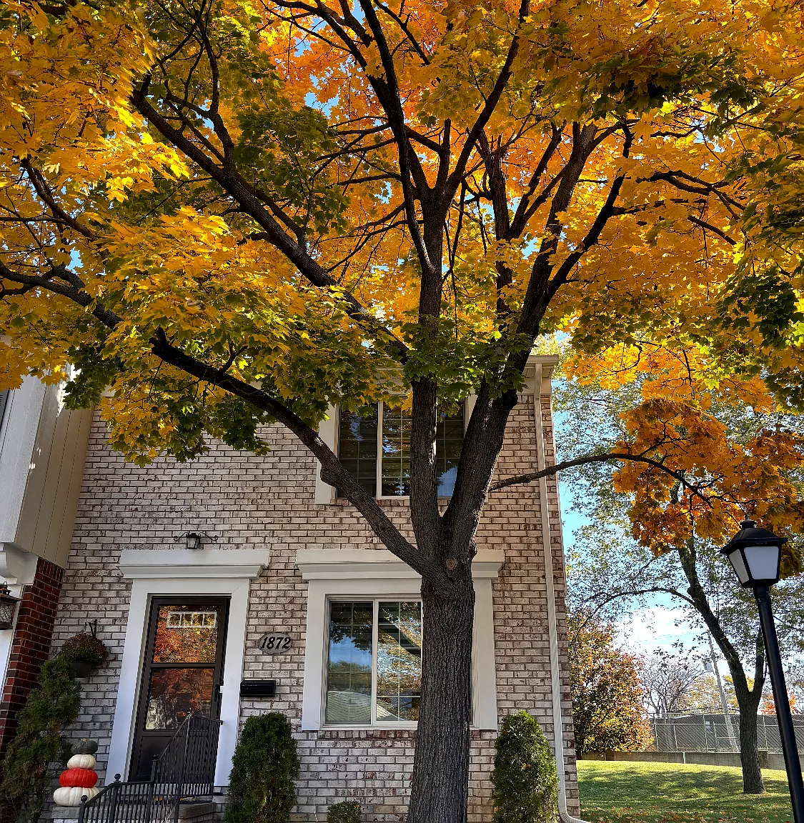 3 bed, 1.5 bath, 1546 sqft, $2,700 — Photo 2