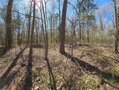 0 Cane Branch Rd, Western Grove, AR, 72685