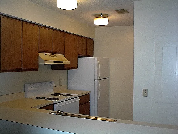 2 bed, 1000 sqft, $1,100 — Photo 3