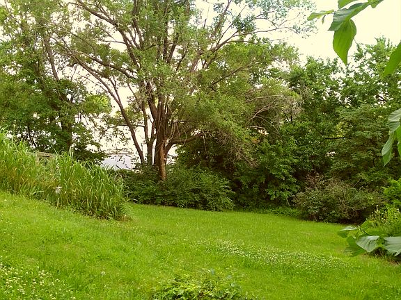 Back east side of yard behin
