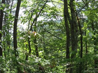 Roundabout Rd, Lake Lure, NC 28746