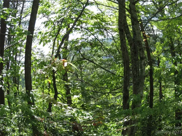 Roundabout Rd, Lake Lure, NC 28746