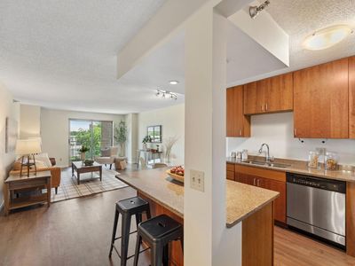 401 S 1st St UNIT 315, Minneapolis, MN, 55401