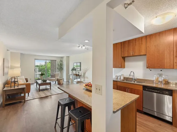 401 S 1st St Unit 315, Minneapolis, MN 55401