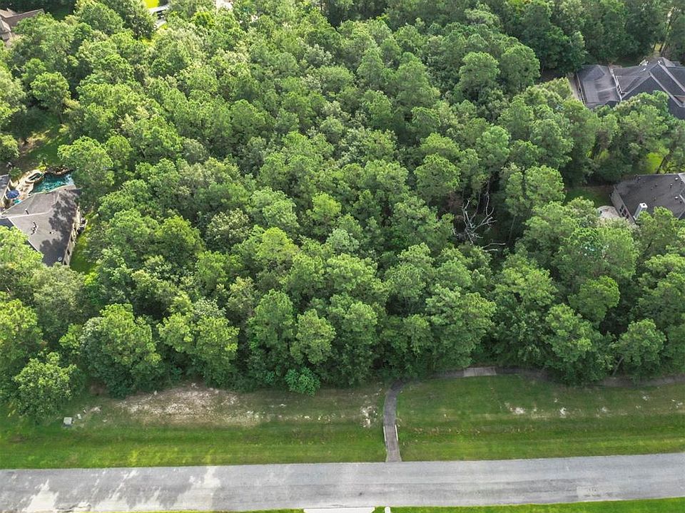 This 1.38 acre lot is a gem! this is a view towards the front of the lot.
