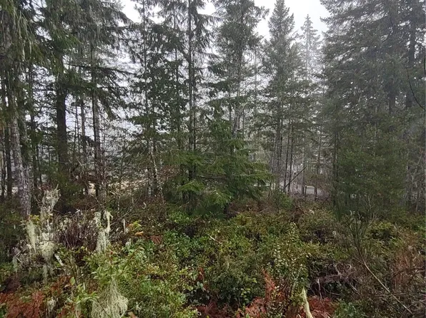 70 E Arellem, Union, WA 98592