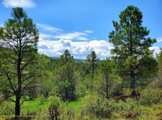 Eagle Creek Canyon Rd, Ruidoso, NM 88345