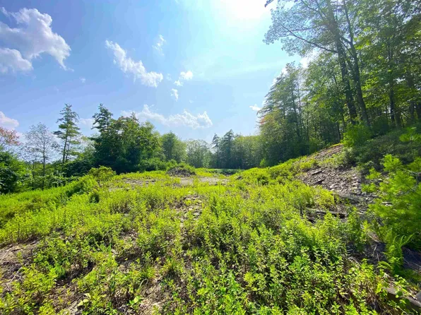 TBD Cedar Drive, Kerhonkson, NY 12446