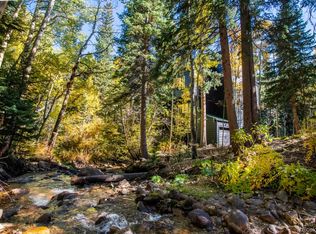 48 Moss Lane, Dumont, CO 80436