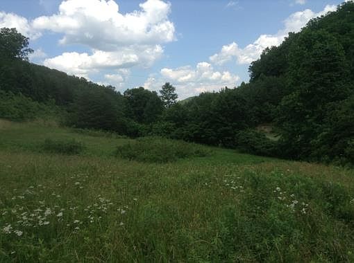 3rd image of 267 Adams Ln