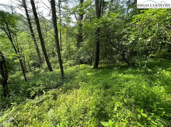 L4-5 River Mountain Drive, Piney Creek, NC 28663