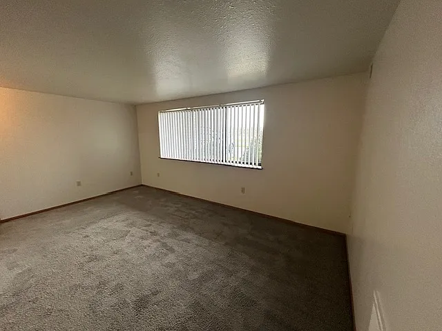 Spansail Apartments — Photo 14