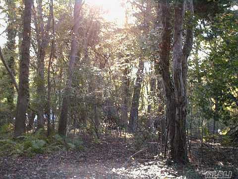 1st image of Beaver Drive Elfin Pl