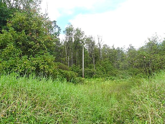 5th image of 16-2741 Ainaloa Drive