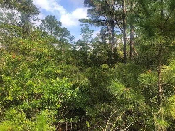 0 Xeriscape Nursery Road, Lake Wales, FL 33859