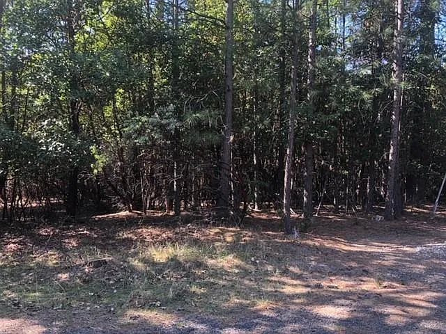 3191 Pinecone Ct photo 1