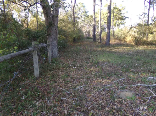 27451 N Burkhardt Dr, Elberta, AL 36530
