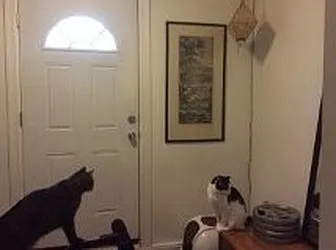 Rented by Peter Jacob, LREB